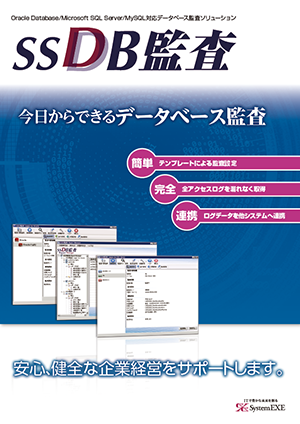 SSDB監査