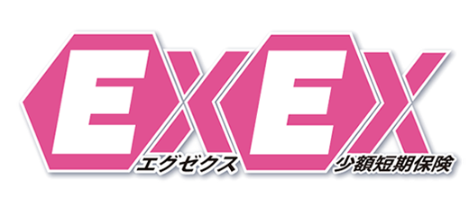EXEX(エグゼクス)少額短期保険