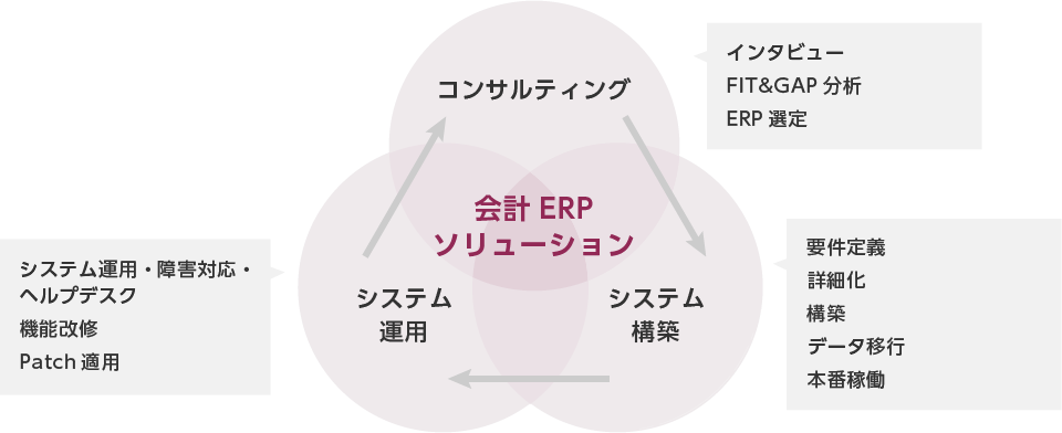 会計ERPソリューション サービスイメージ